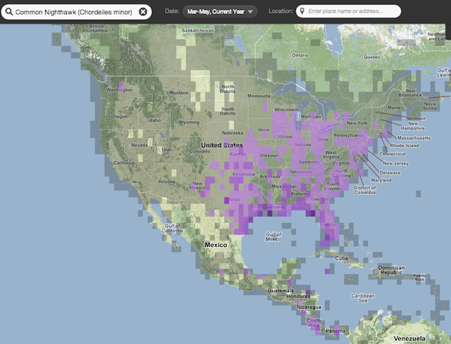 eBird map, May 13