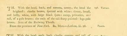 Pennant's 1785 description of the Tawny (=Wood) Thrush