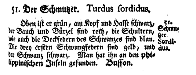 Statius Müller, Turdus sordidus