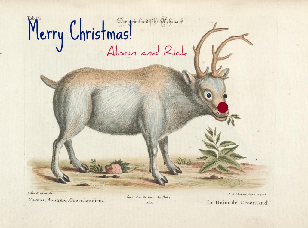 Christmas card 2014